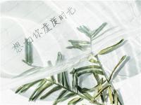 在手機上怎么賺錢？打造IP是長久賺錢的不二法門！